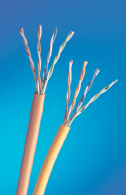 Category 5e 100MHz UTP Cable (Solid)